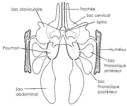 Biologie